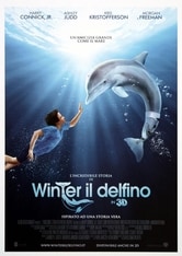 L'incredibile storia di Winter il delfino