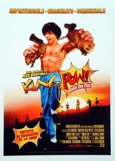 Kung Pow!