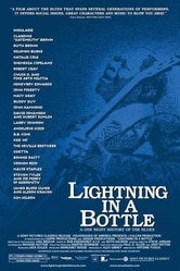 Lightning in a Bottle