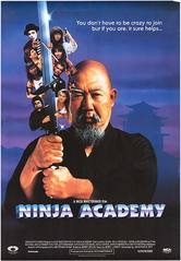 A scuola di ninja