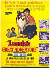 Lassie - L'avventura in pallone