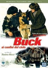 Buck - Ai confini del cielo