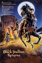 Il ritorno di Black Stallion