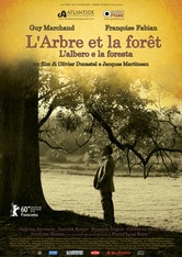 L'arbre et la forêt