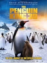 The Penguin King 3D