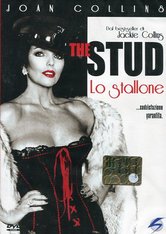 The Stud - Lo stallone