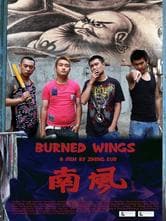 Burned Wings