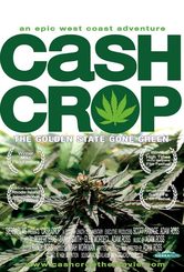 Cash Crop