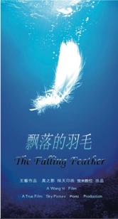 The Falling Feather