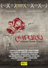 Çapulcu: Voices from Gezi