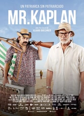 Mr. Kaplan