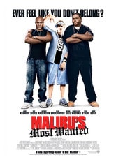 Malibu's Most Wanted - Rapimento a Malibu