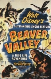 Beaver Valley