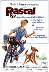 Rascal, l'orsetto lavatore