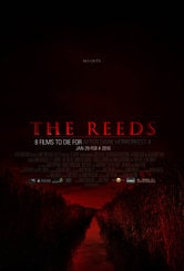 The Reeds