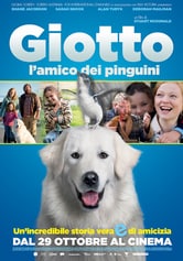 Giotto, l'amico dei pinguini