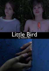 Little Bird