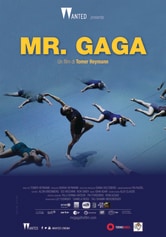 Mr. Gaga