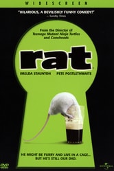 Rat