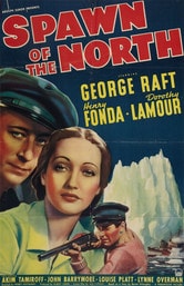 Il falco del nord