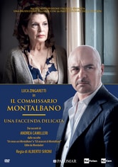 Il commissario Montalbano - Una faccenda delicata