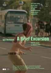 A Brief Excursion