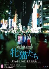 Come feline nelle notti di Tokyo