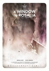 A Window to Rosalia