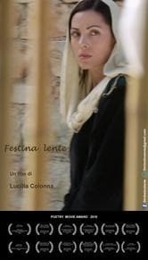 Festina lente (Affrettati lentamente)