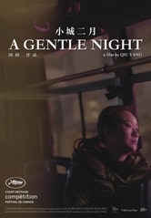 A Gentle Night