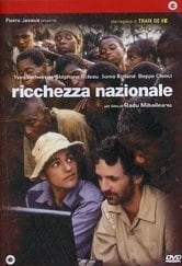 Ricchezza nazionale