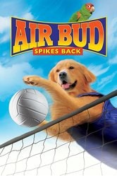 Air Bud vince ancora