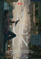 The Pigeon