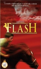 Flash - Il mio amico fulmine