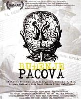 Budjenje pacova