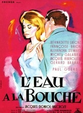 Le gattine