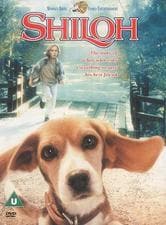 Shiloh, un cucciolo per amico