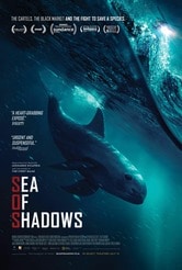 Sea of Shadows: Trafficanti di mare