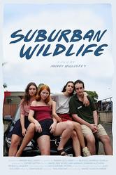 Suburban Wildlife