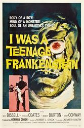 La strage di Frankenstein