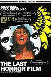 The Last Horror Film