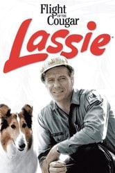 Lassie: avventura in pallone