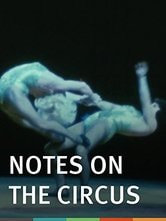 Notes on the Circus