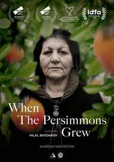 When the Persimmons Grew