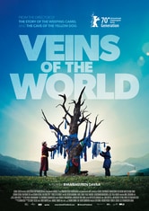 Veins of the World