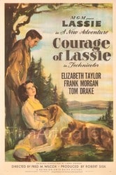 Il coraggio di Lassie