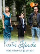 Katie Fforde: Un desiderio di famiglia