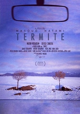 Termite