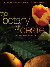 La botanica del desiderio