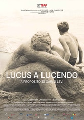 Lucus a Lucendo. A proposito di Carlo Levi